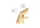 18 18x38 Mansard02.pdf