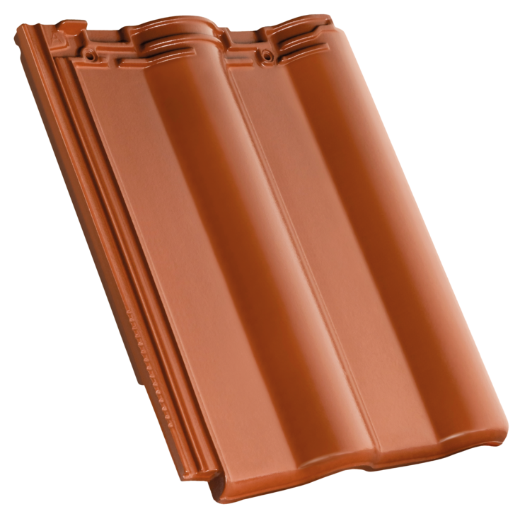 MAXIMA PRO - Irreplaceable for roof renovation