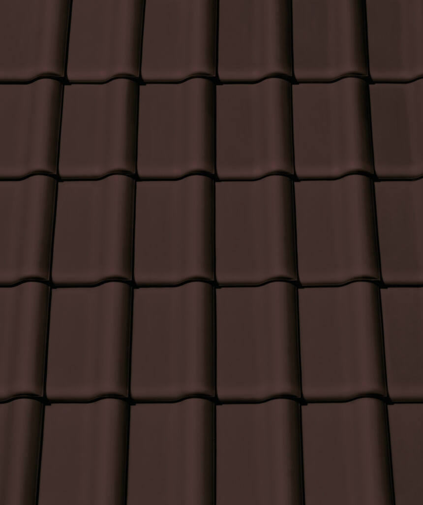 Dark brown engobe – laying