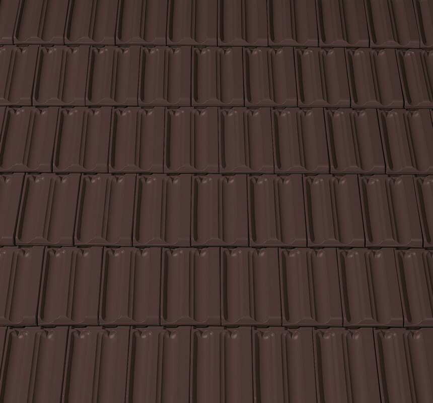 Dark brown engobe – laying