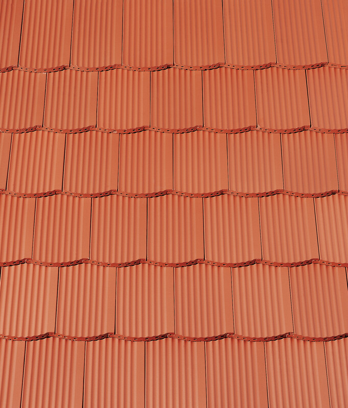 Natural red natural – laying