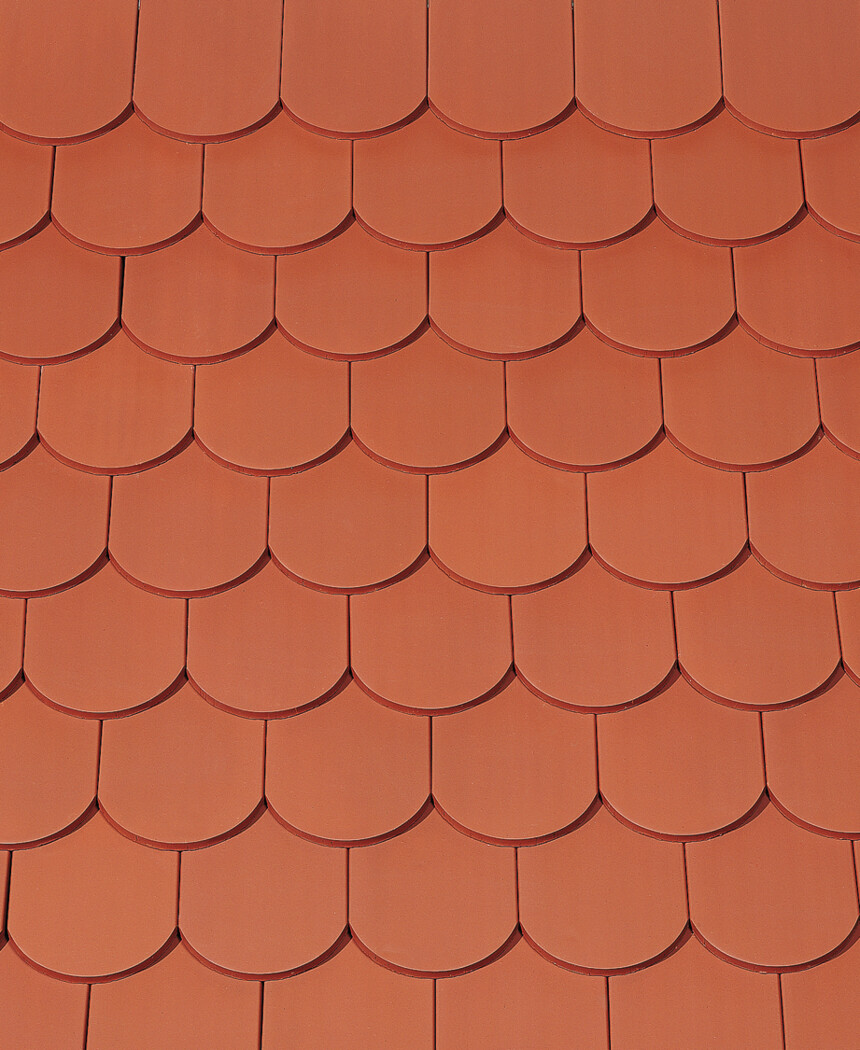 Natural red natural – laying